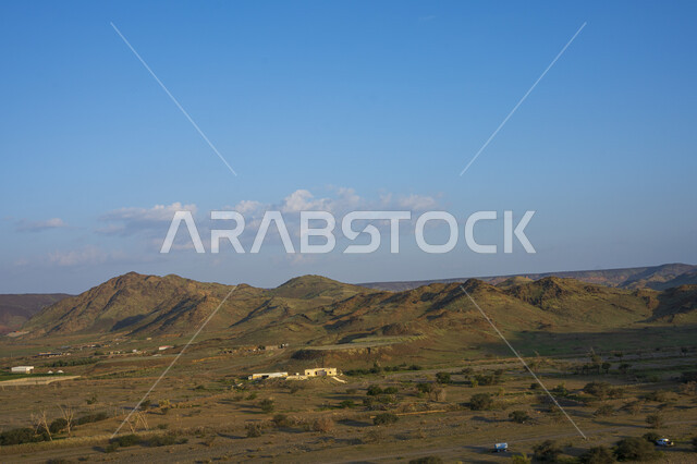 الطبيعة الصحراوية ، المرتفعات الجبلية ، خلفية الطبيعة ، الأشجار والنباتات الخضراء في المناطق الصحراوية ، البيئة الصحراوية