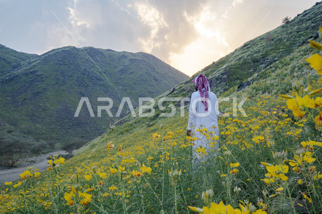 صورة من الخلف لرجل عربي خليجي سعودي يقف وسط الحقول الزراعية، الاشجار والنباتات الخضراء، الحقول والاراضي الزراعية، مزارع خضراء، الجبال والمرتفعات، ورود صفراء، الطبيعة الخضراء، خلفية الطبيعة