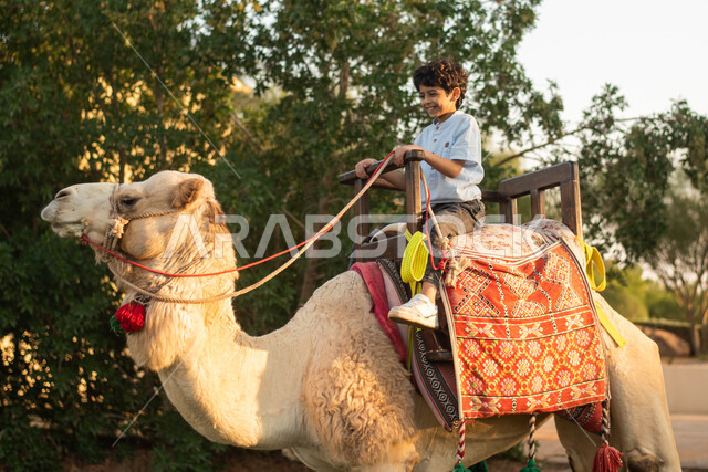 ولد عربي خليجي سعودي يمتطي الجمل العربي، أنشطة ترفيهية، قضاء أوقات ممتعة، فعالية سفاري موسم الرياض