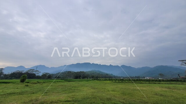 الاشجار والنباتات الخضراء في الحقول الزراعية، ارض خضراء، حقول زراعية، مناظر طبيعية، اجواء ضبابية، خلفية الطبيعة