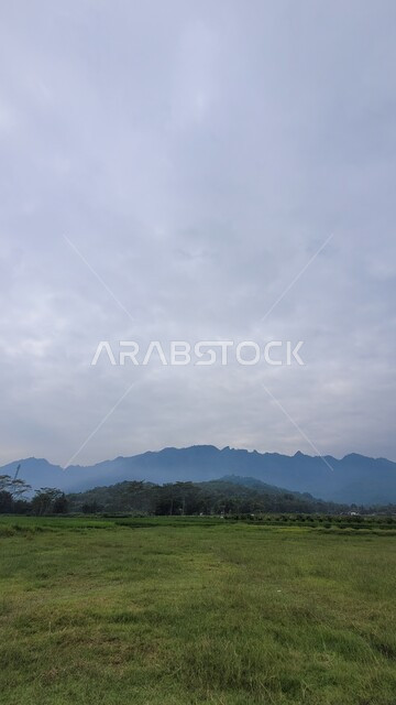 الاشجار والنباتات الخضراء في الحقول الزراعية، ارض خضراء، حقول زراعية، مناظر طبيعية، اجواء ضبابية، خلفية الطبيعة