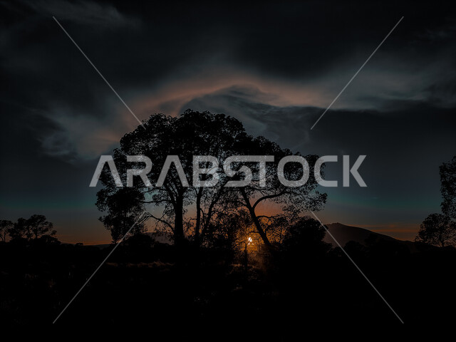 Sunset between the shade of trees and mountains, clouds and compact clouds, cloudy atmosphere, nature and dense forests.