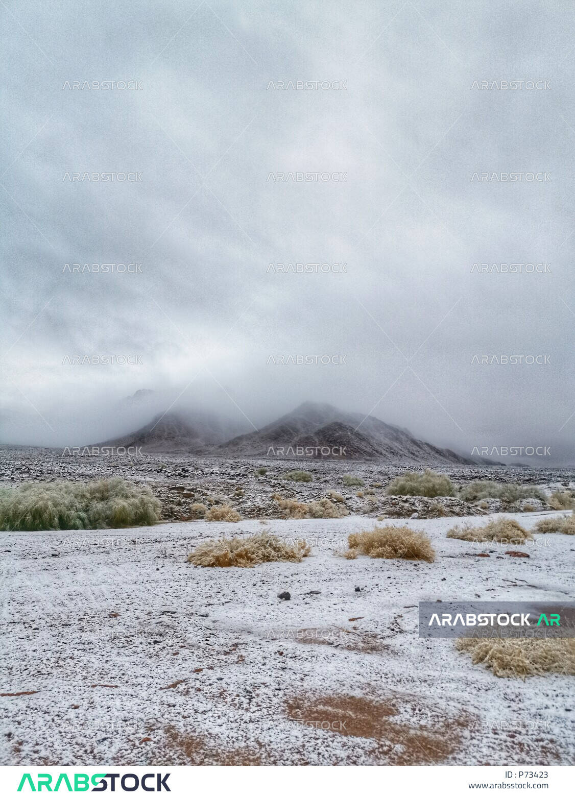 Winter season and snowfall in the Alaqan Mountains in the city of Tabuk