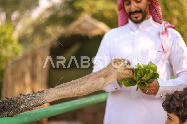 رجل عربي خليجي سعودي وإبنه يقضيان أوقات ممتعة في حديقة الحيوانات في المملكة العربية السعودية ، حيوانات برية في المحمية الطبيعية ، أنشطة ترفيهية مع الحيوانات ، فعالية سفاري موسم الرياض