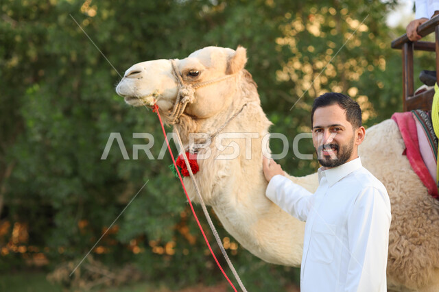 Saudi Arabian Gulf man next to the Arabian camel, entertainment activities, Riyadh season safari event