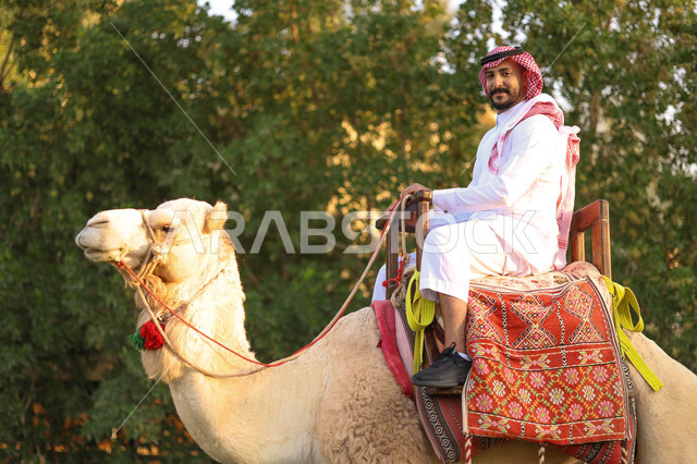 رجل عربي خليجي سعودي يمتطي الجمل العربي ، أنشطة ترفيهية ، فعالية سفاري موسم الرياض