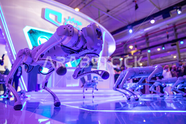 مؤتمر ليب التقني 2023 في مدينة الرياض بالمملكة العربية السعودية ،مؤتمر و معرض تقني ، مستقبل التقنيات ، تقنيات الذكاء الاصطناعي ، روبوتات ، نحو آفاق جديدة ،المؤتمر التقني الدولي (ليب 23)