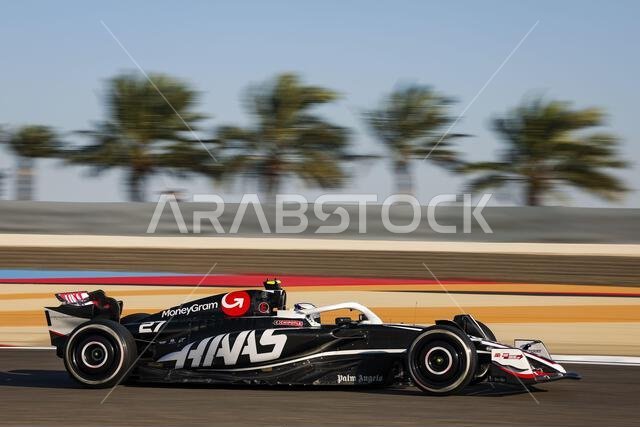 HULKENBERG Nico (ger), Haas F1 Team VF-24 Ferrari, STEINER Gunther ...