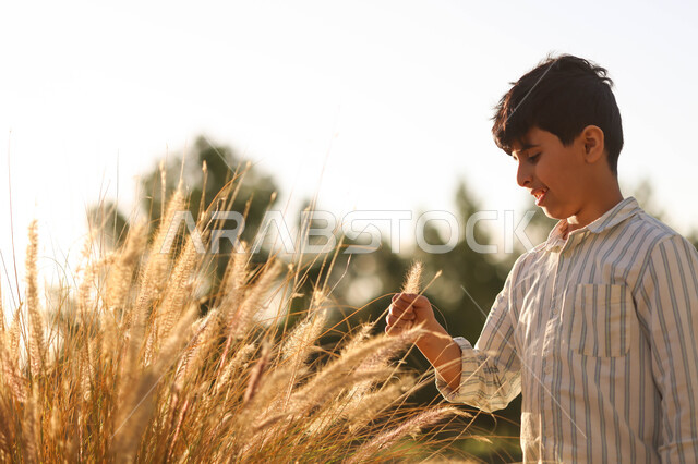 ولد عربي خليجي سعودي في أحد الحدائق الترفيهية في المملكة العربية السعودية ، حقول ومزارع القمح ، محاصيل زراعية 