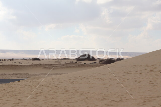 الكثبان الرملية في المناطق الصحراوية، تلال رملية، رمال ناعمة، الطبيعة الصحراوية، التضاريس الصحراوية