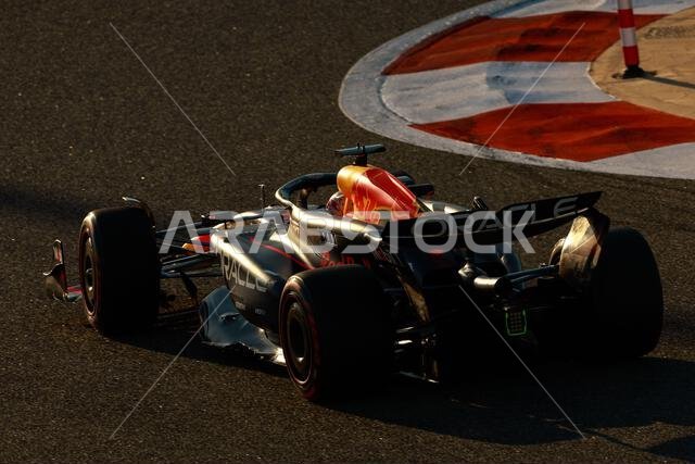 VERSTAPPEN Max (ned), Red Bull Racing RB20, portrait during the Formula ...