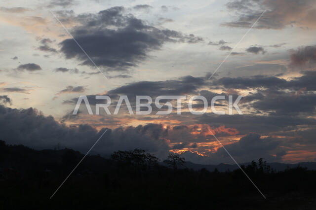 Silhouettes of trees and plants at sunset, cloudy sky, landscape