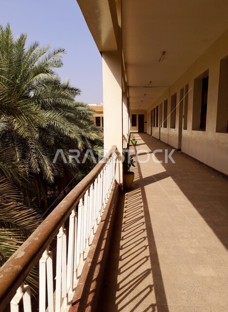 ممر بجانب الفصول في مدرسة، اشجار النخيل الخضراء، نوافذ الفصول، الصفوف الدراسية