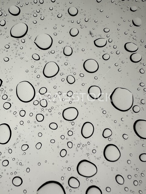 صورة لقطرات الماء ، خلفية قطرات الماء ، اجواء شتوية ، خلفيات ، الماء ، قطرات المياه ، قطرات الندى ، صورة بالأسود والأبيض