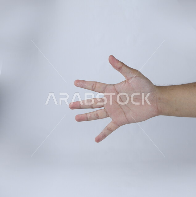 خمس أصابع على خلفية بيضاء ، مفهوم لغة الإشارة ، وسيلة تواصل غير صوتية ، دلالة على السلام والتحية باليد