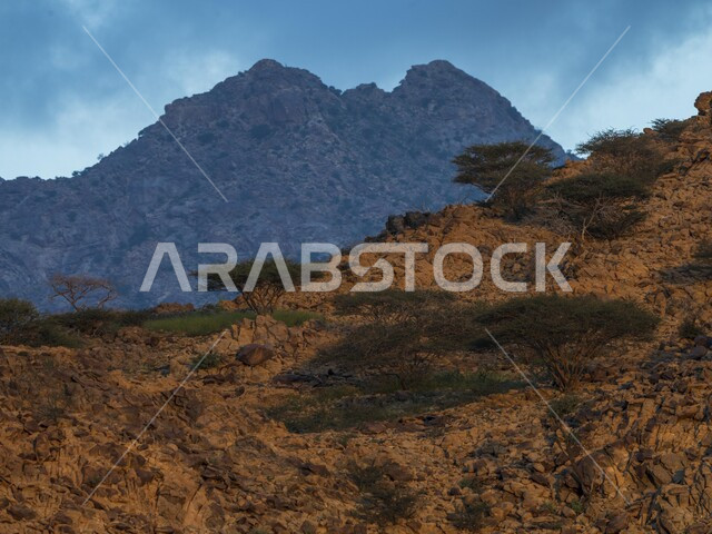 المناطق الجبلية بالمملكة العربية السعودية ، جبال السعودية ، خلفية الطبيعة الجبلية ، البيئة الجبلية ، المرتفعات الجبلية ، الطبيعة في السعودية