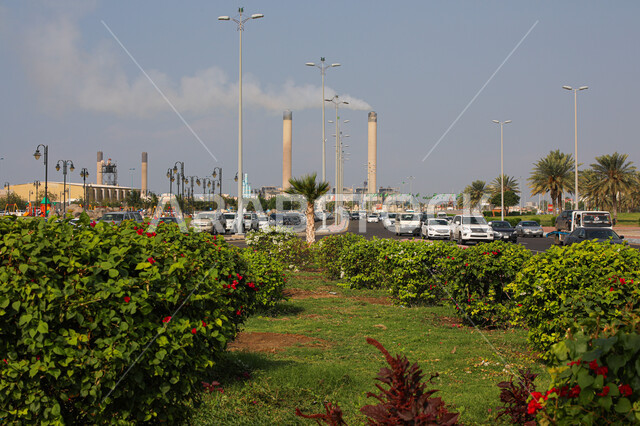 Corniche Park in Jeddah, Saudi Arabia, green trees and plants, Jeddah landmarks, Jeddah Corniche Park, tourism in Jeddah