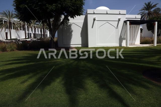 Shadow of Date Palm on Grass Outside The Chedi Hotel Muscat Oman - Photo