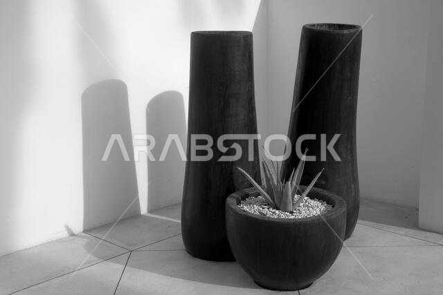 Date Palm Tree Trunk and Shadow of Palm Leaved on white wall by windows ...