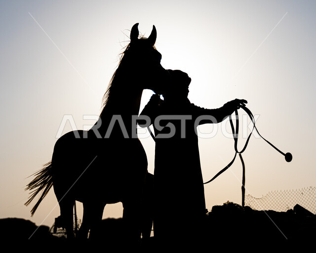 صورة ظلية لفارس عربي خليجي سعودي يقف مع الخيل في الصحراء، الخيل العربي الاصيل، احياء ذكرى التاسيس السعودي، الدولة السعودية الاولى 1727م، يوم التاسيس السعودي، عيد وطني سعودي
