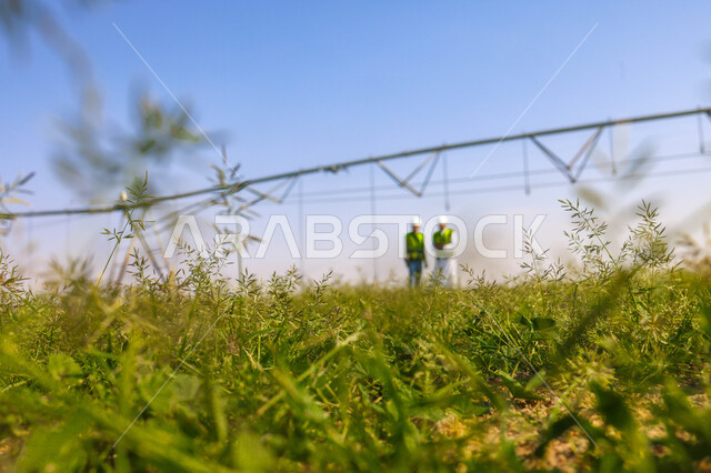 مهندسان زراعيان عربيان خليجيان سعوديان في حقل زراعي ، إرتداء خوذة وسترة الحماية، إتفاقيات و صفقات عمل، الاراضي والحقول الزراعية، آلات ومعدات الري المستقبلي، اذرع الري المحوري