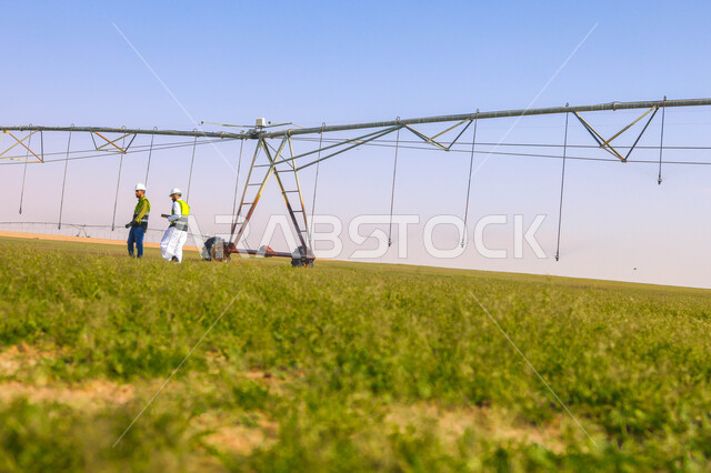 مهندسان زراعيان عربيان خليجيان سعوديان في حقل زراعي ، إرتداء خوذة وسترة الحماية، إتفاقيات و صفقات عمل، الاراضي والحقول الزراعية، آلات ومعدات الري المستقبلي، اذرع الري المحوري