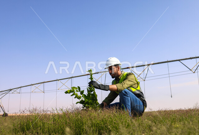 مهندس زراعي عربي خليجي سعودي يشرف على حقل زراعي، الإعتناء بالنباتات, إرتداء خوذة وسترة الحمايه، محاصيل زراعية، القطاع الزراعي، تكنولوجيا الزراعة، الات ومعدات الري المستقبلي