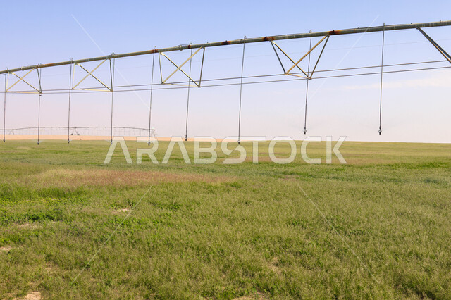 الات ومعدات الري المستقبلي في حقل زراعي بالمملكة العربية السعودية، الاراضي والحقول الزراعية، الاعتناء والاهتمام بالاشجار والنباتات الخضراء، اذرع الري المحوري