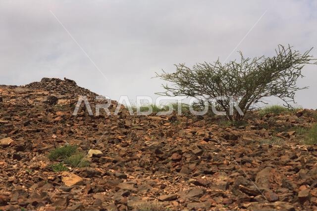 beehive tomb zukait al ayn oman middle east - Photo