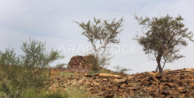 Zukait tombs (3000BC) Beehive Shape Tombs near the Village of Zukait Ad ...