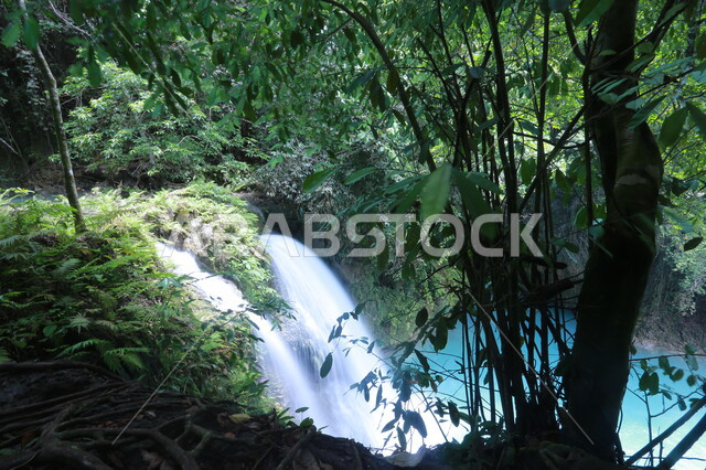  شلالات المياه الزرقاء، الاشجار والنباتات الخضراء، مناظر طبيعيه، خلفية الطبيعة