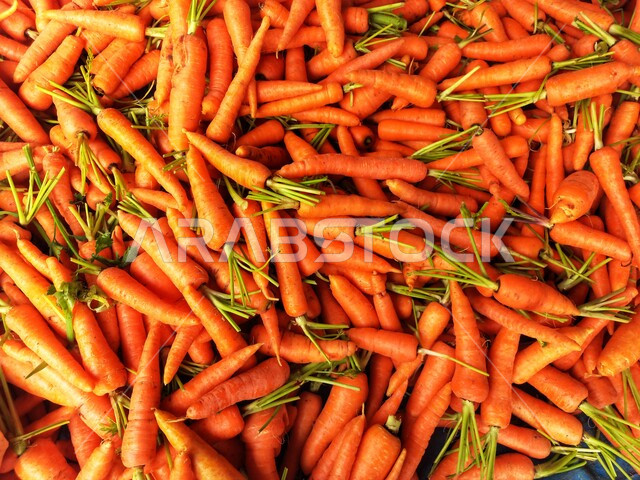 صورة مقربة لحبات الجزر، ثمرة الجزر، خضروات، محاصيل زراعية، محصول الجزر، زراعة الجزر