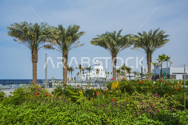 مسجد الرحمة العائم على البحر ، معالم جدة في المملكة العربية السعودية ، معالم سياحية ، مناظر طبيعية ، جمال السعودية