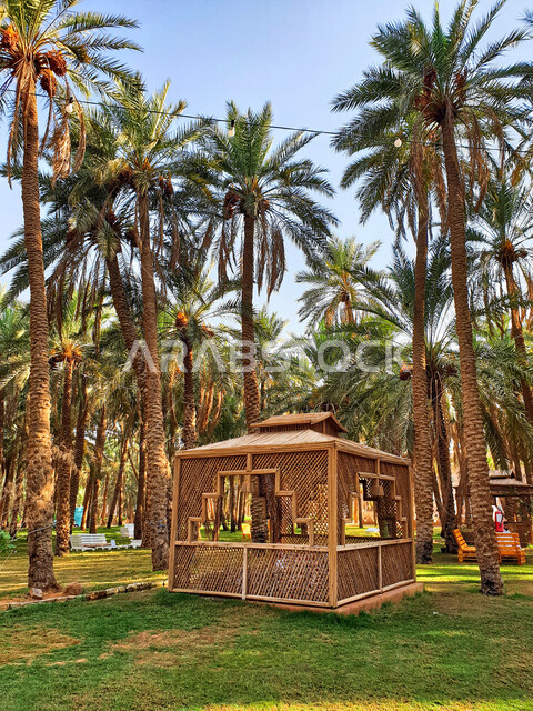 عريشة من الخوص للجلوس بين أشجار النخيل، مزارع النخيل، أشجار النخيل الخضراء، الطبيعة الخضراء، زراعة أشجار النخيل، خلفية الطبيعة