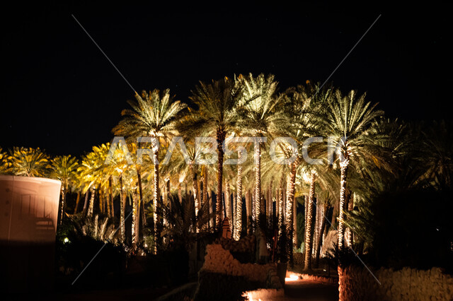 مزارع النخيل في العلا بالمملكة العربية السعودية ليلا، انوار مضيئة، اشجار النخيل، المدينة القديمة