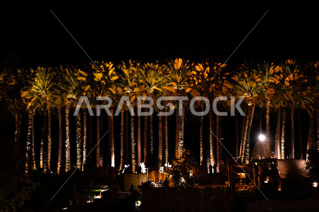 مزارع النخيل في العلا بالمملكة العربية السعودية ليلا، انوار مضيئة، اشجار النخيل، المدينة القديمة