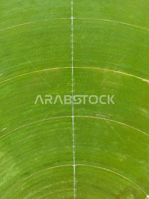 An aerial photograph of circular agricultural fields, an agricultural axis, circular fields, green farms, the science of agriculture, the development of agriculture