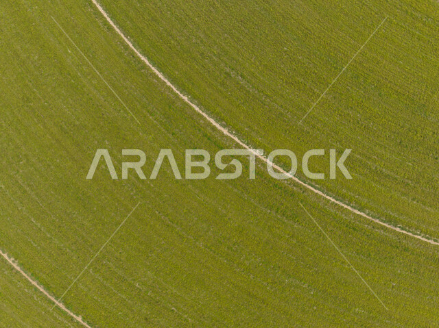 صورة جوية لحقول زراعية دائرية، محور زراعي، حقول دائرية، مزارع خضراء، علم الزراعة، تطور الزراعة