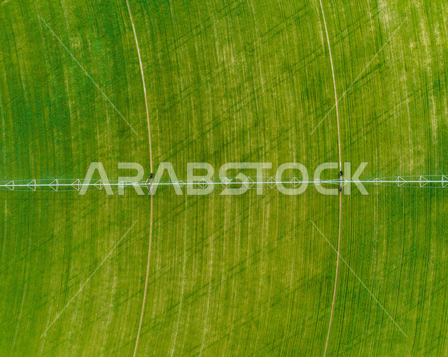 An aerial photograph of circular agricultural fields, an agricultural axis, circular fields, green farms, the science of agriculture, the development of agriculture