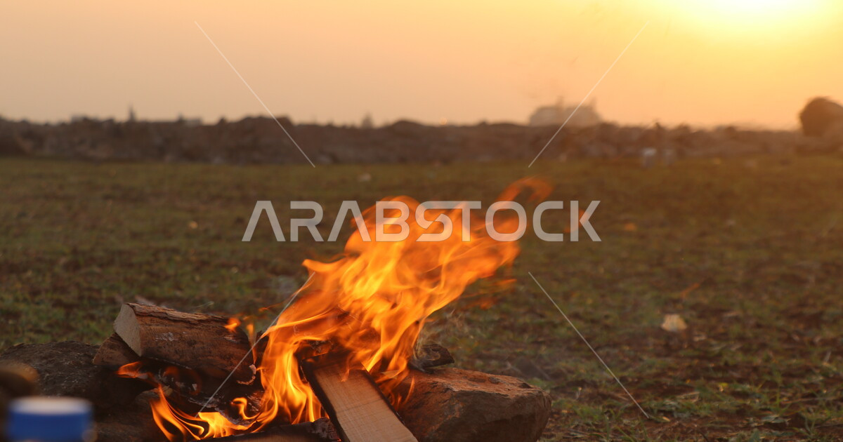 النيران المشتعلة في الحطب، اللهب الأحمر، الطبيعة الصحراوية، شبة نار ...