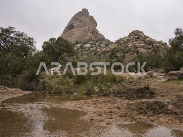 الجبال والمرتفعات الصخرية، القمم الجبلية، السماء الملبدة بالغيوم، الاشجار والنباتات الخضراء، اجواء شتوية، الطبيعة الجبلية، التضاريس الجبلية