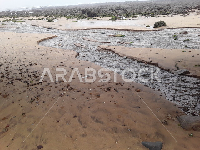 مجرى مياه في الرمال، رمال البحر، شاطئ البحر، انحسار المياه، المد والجزر، سيول الماء، مناظر طبيعية