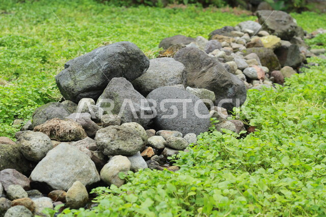 صورة مقربة مجموعة من الحجارة، حجارة صخرية، نباتات خضراء، الطبيعة الخضراء، صخور طبيعية