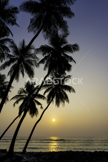 غروب الشمس على شاطئ البحر ، منظر الغروب على شاطئ البحر ، جمال السماء والمناظر الطبيعية الخلابة ، خلفية الطبيعة ، المناظر البحرية الهادئة ، هدوء وجمال البحر وقت الغروب ، تأمل البحر وقت غروب الشمس .