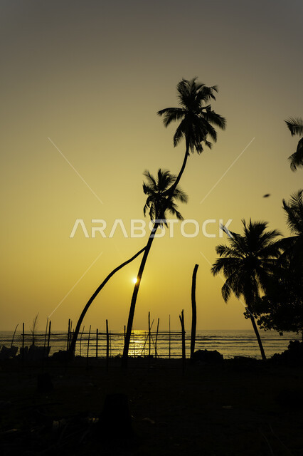 غروب الشمس على شاطئ البحر ، منظر الغروب على شاطئ البحر ، جمال السماء والمناظر الطبيعية الخلابة ، خلفية الطبيعة ، المناظر البحرية الهادئة ، هدوء وجمال البحر وقت الغروب ، تأمل البحر وقت غروب الشمس .