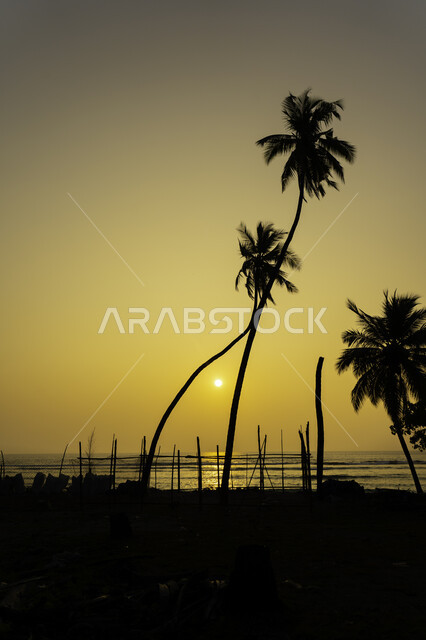 غروب الشمس على شاطئ البحر ، منظر الغروب على شاطئ البحر ، جمال السماء والمناظر الطبيعية الخلابة ، خلفية الطبيعة ، المناظر البحرية الهادئة ، هدوء وجمال البحر وقت الغروب ، تأمل البحر وقت غروب الشمس .