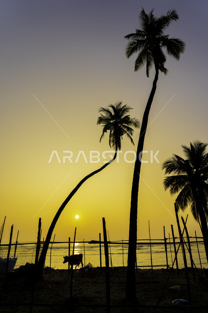 غروب الشمس على شاطئ البحر ، منظر الغروب على شاطئ البحر ، جمال السماء والمناظر الطبيعية الخلابة ، خلفية الطبيعة ، المناظر البحرية الهادئة ، هدوء وجمال البحر وقت الغروب ، تأمل البحر وقت غروب الشمس .