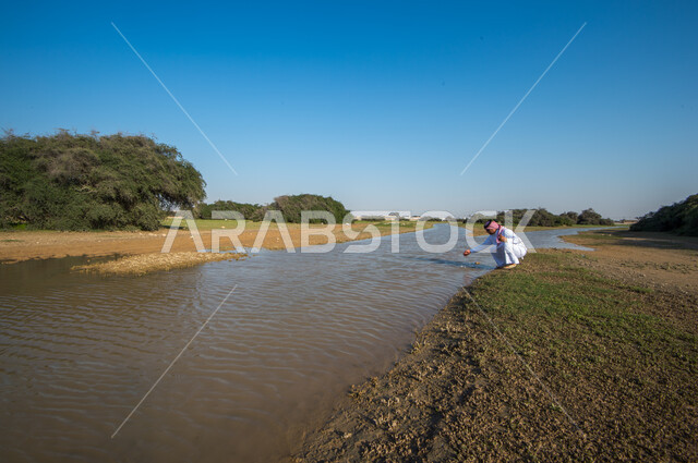 رجل عربي خليجي قطري يجلس امام نهر ري بين الاشجار والنباتات الخضراء في المزارع الخضراء بشمال قطر، وادي مائي، نباتات عشبية، مناظر طبيعية خلابة، الطبيعة الخضراء، خلفية الطبيعة