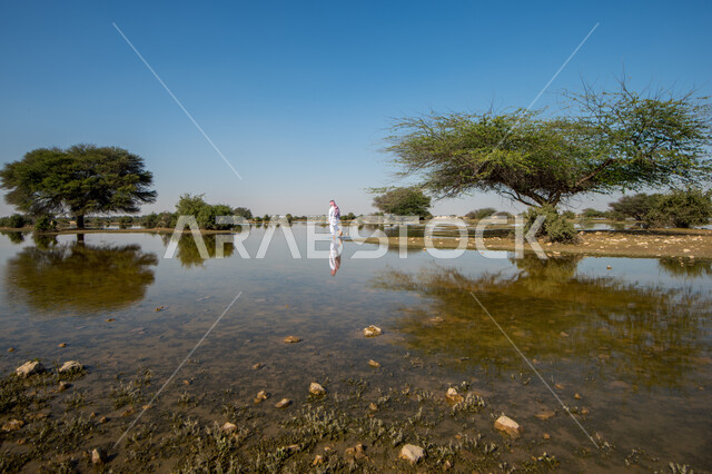 رجل عربي خليجي قطري يتجول في روضة العطورية شمال قطر، الاشجار والنباتات الخضراء، مياه الامطار، الطبيعة الخضراء، خلفية الطبيعة