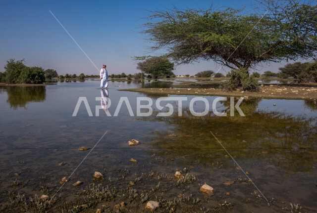 رجل عربي خليجي قطري يتجول في روضة العطورية شمال قطر، الاشجار والنباتات الخضراء، مياه الامطار، الطبيعة الخضراء، خلفية الطبيعة